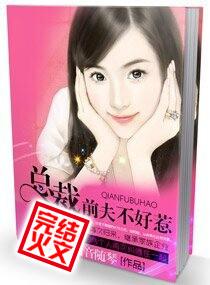 总裁前夫缠不休今莀