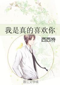 我是真的喜欢你西西特盘