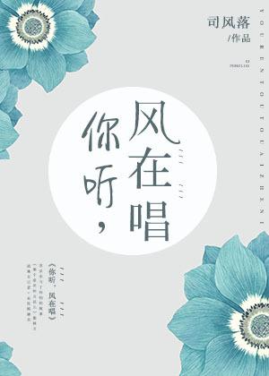 你听风在唱歌曲