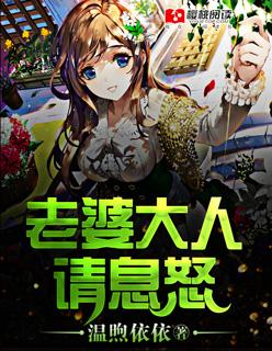 老婆大人请息怒漫画请