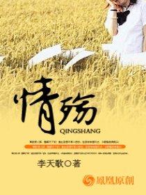 情殇恋痕泰剧简介