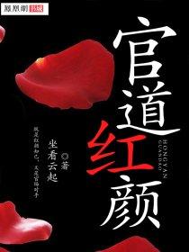 职场红颜改编