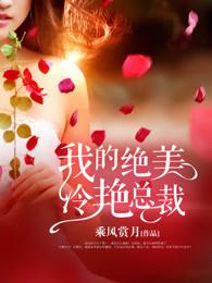 我的绝美冷艳总裁林