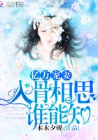 入骨相思谁能懂下一句