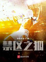 禁区之狐txt校对版