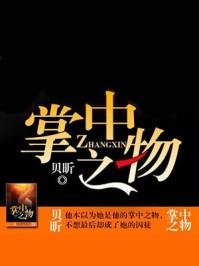 掌中之物笔趣阁小说免费阅读