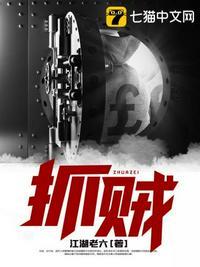 抓贼抓贼抓偷井盖的贼