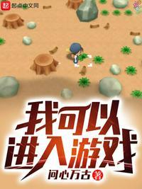 我可以进入游戏333章