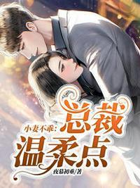苏暖暖厉总裁