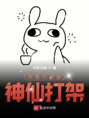 我真不想跟神仙打架 第378章