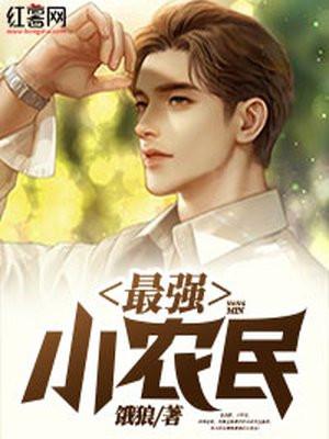 最强小农民txt完整版