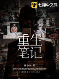 重生笔记本大结局