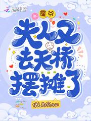 霍爷夫人又去天挢摆摊了免费阅读小