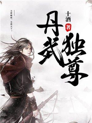 丹武独尊结局是什么