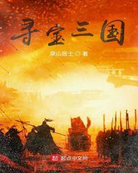 寻宝手游