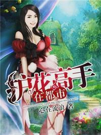 护花高手在都市夏天乔小乔