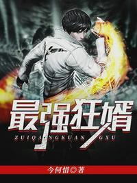 至尊强婿免费全文阅读第一章