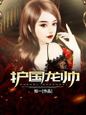 护国龙帅叶无道全文免费阅读