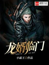 赘婿是龙王