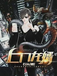 上门女婿龙飞