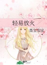 轻易放火全本阅读
