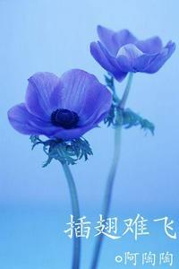 沈初云陆进结局