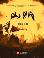 大明最狠的一个山贼txt