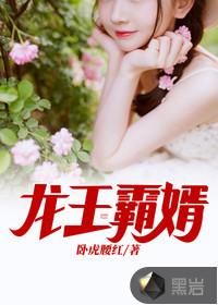 龙王霸婿完整版免费阅读