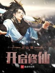 开局从山贼开始