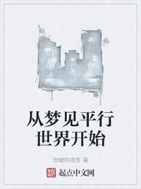我梦见了平行时空