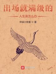 出场就满级的人生该怎么办 云盘