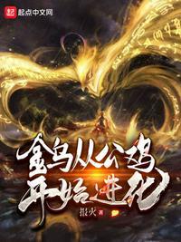 金乌进化第一季