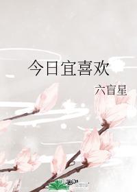 今日宜喜欢你晋江