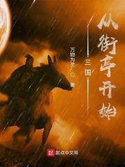 三国从街亭开始全文TXT