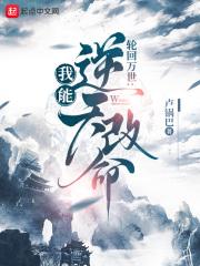 轮回模拟系统