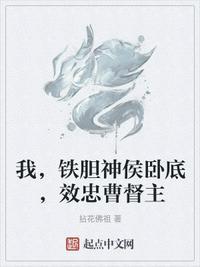 我是铁胆神侯