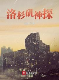 洛杉矶神探卢克李