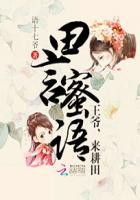 王爷归田记