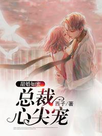 总裁心尖宠祁先生