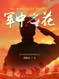 军中之花第1到100集