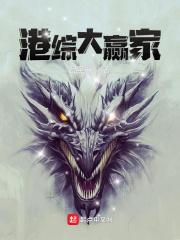 港综大赢家无删减