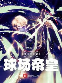 网王之球场上的贵公子
