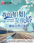 我的姐姐是傲娇姐妹百合文