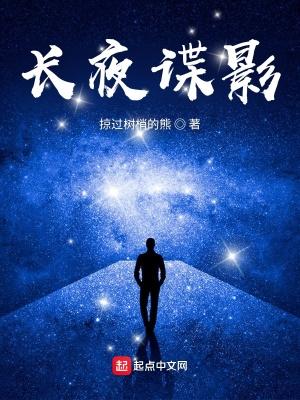 长夜谍影TXT电子书免费