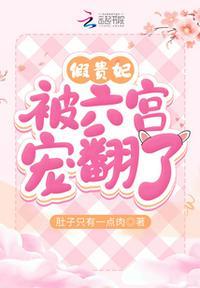 假贵妃被六宫宠翻了简介