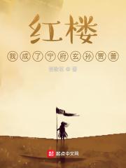 红楼之宁国公贾清