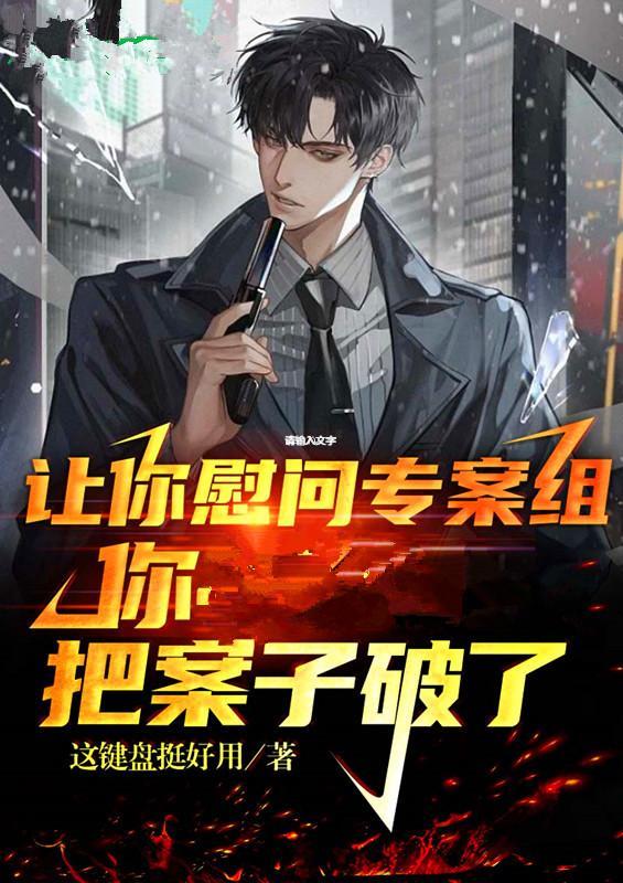 你把案子破了txt