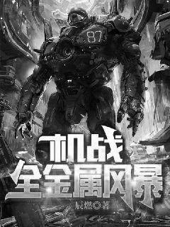 机战全金属风暴TXT百度
