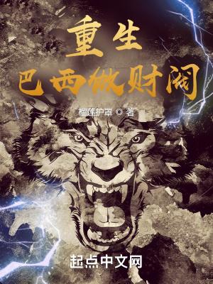 重生巴西崛起的