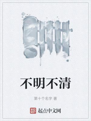 不清晰是什么词语